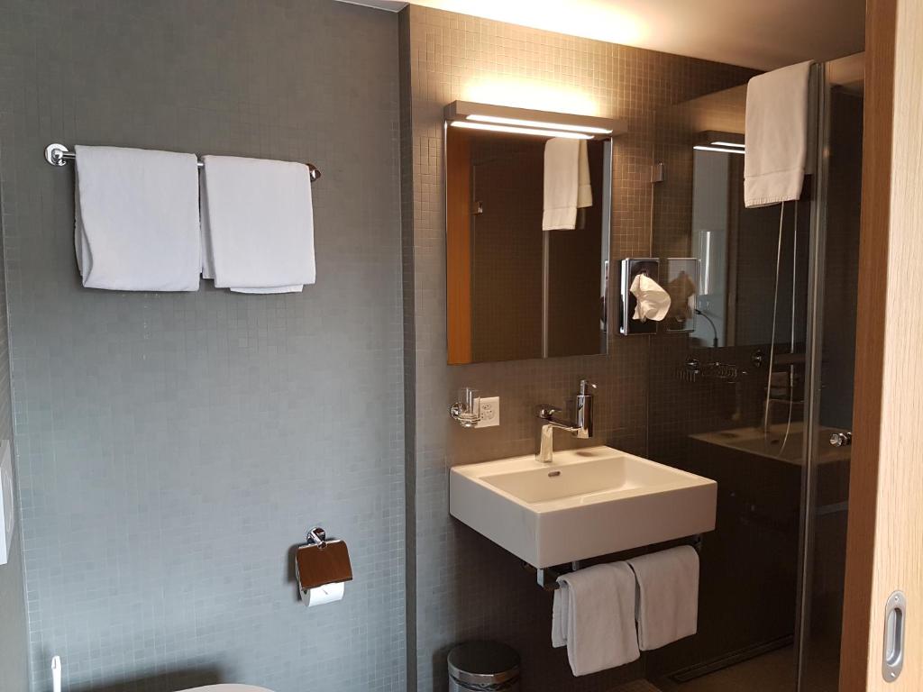 Двухместный (Двухместный номер с 1 кроватью и видом на реку), East-West Riverside Hotel Basel