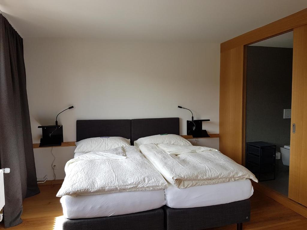 Двухместный (Двухместный номер с 1 кроватью и видом на реку), East-West Riverside Hotel Basel