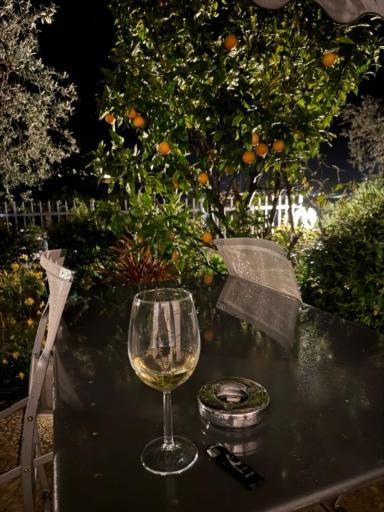 Villa Treccani Apartments Room Type - One-Bedroom Suite