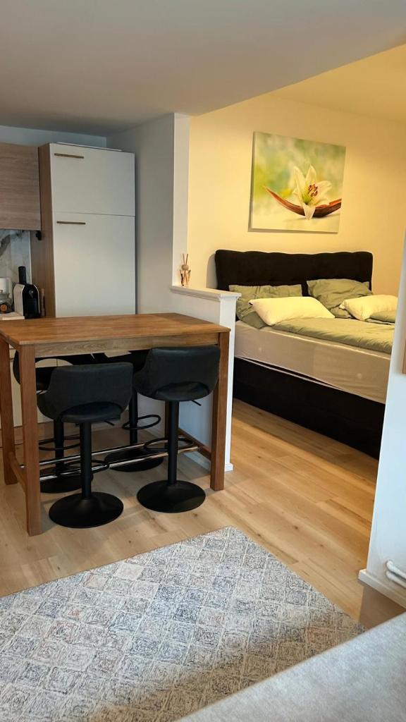 Haus Crisan- Garconniere photo 3
