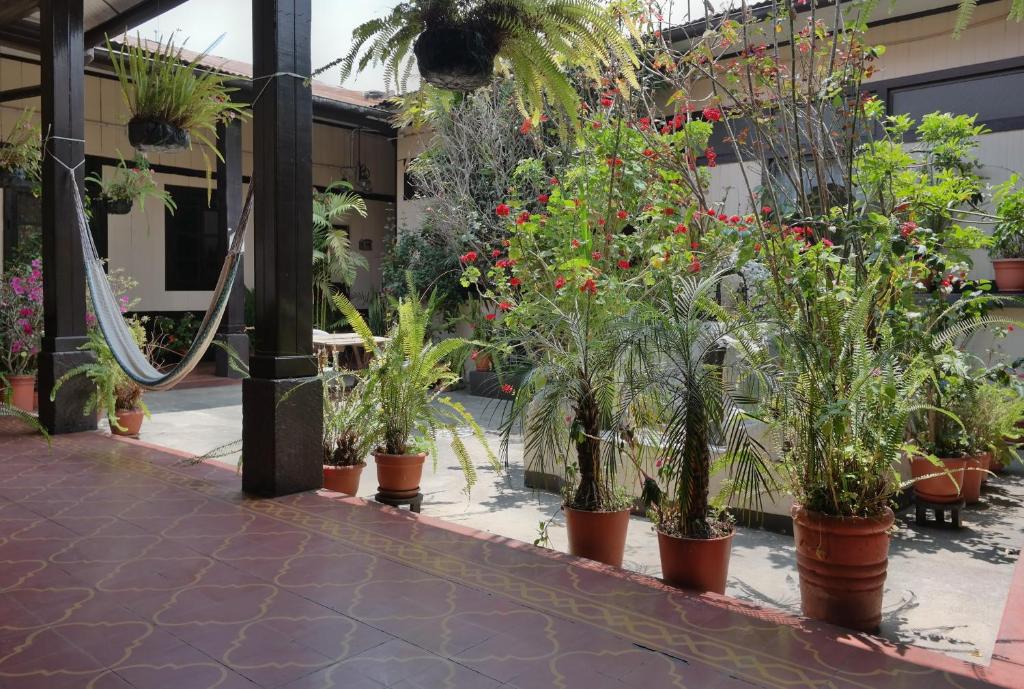 Casa Seibel photo 3