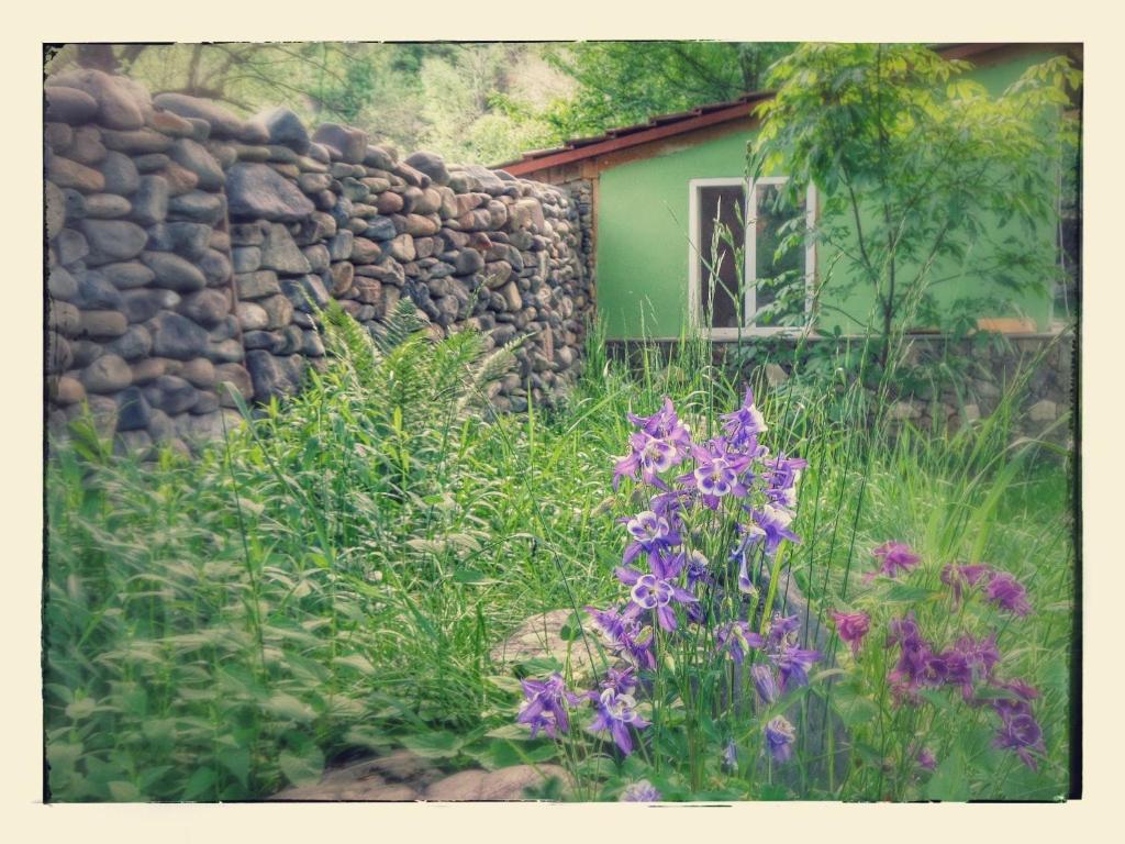 Green Hostel