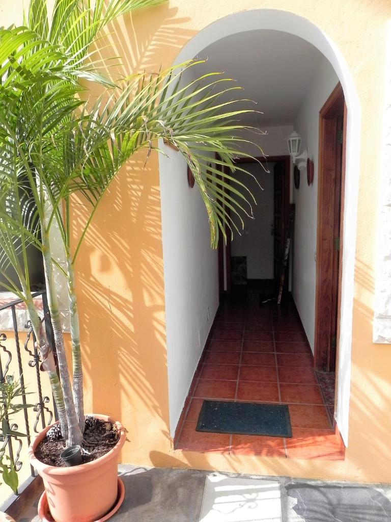 Apartamentos Ana photo 4