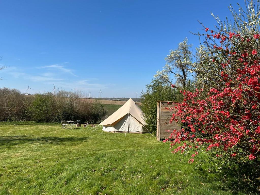 Tente glamping "bluebird" à la Ferme de la Chevêche photo 3