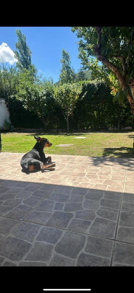 la soñada photo 2
