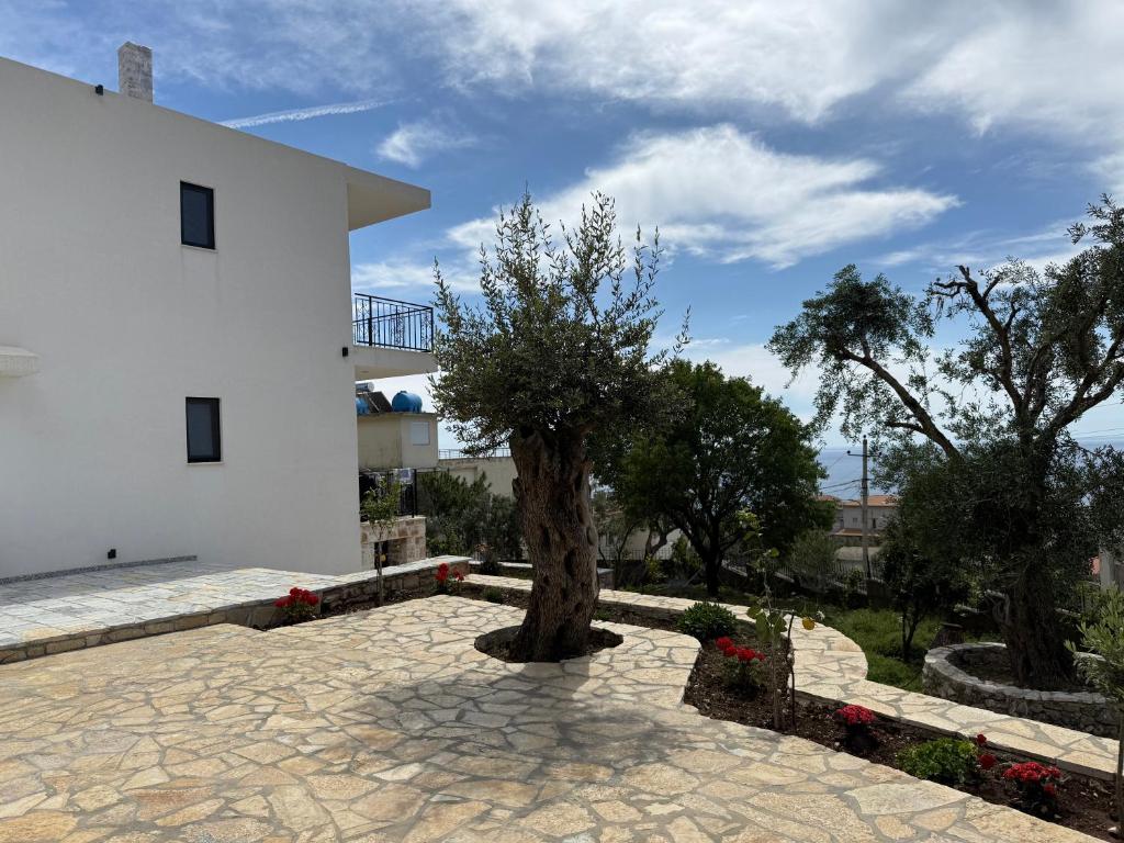 Villa Thomas photo 4