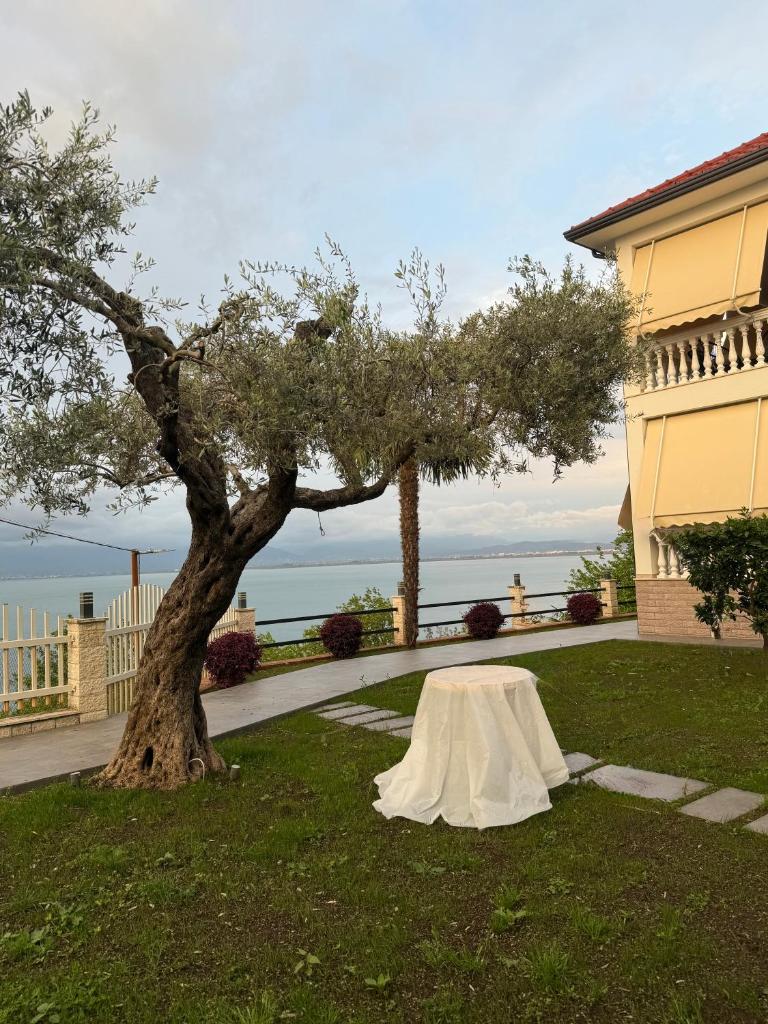 Nature Treasure Villa photo 1