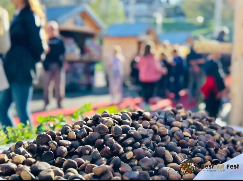 Srce Cazina photo 1