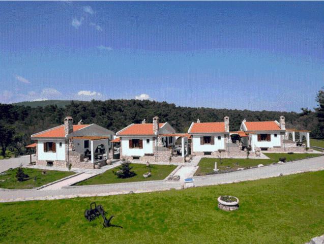 Apolithomeno Dasos Holiday Villas photo 1
