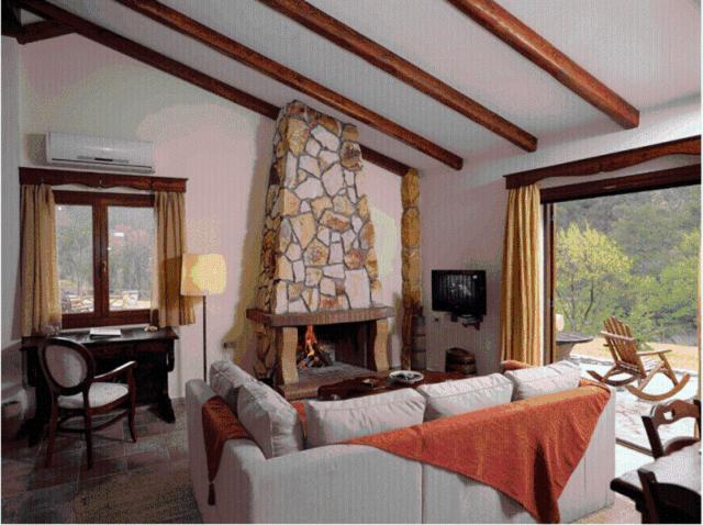 Apolithomeno Dasos Holiday Villas photo 4