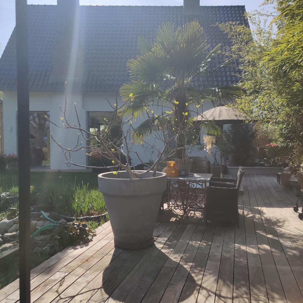 De Tuinkamer photo 1