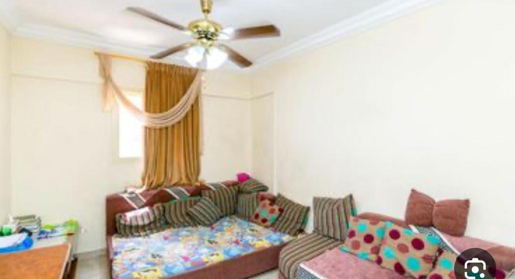 مويلح photo 3
