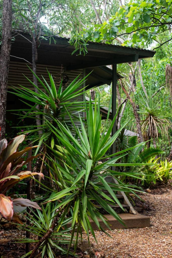 The Hideaway Bush Retreat - Wagait Beach