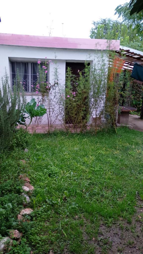 Departamento MGS photo 1