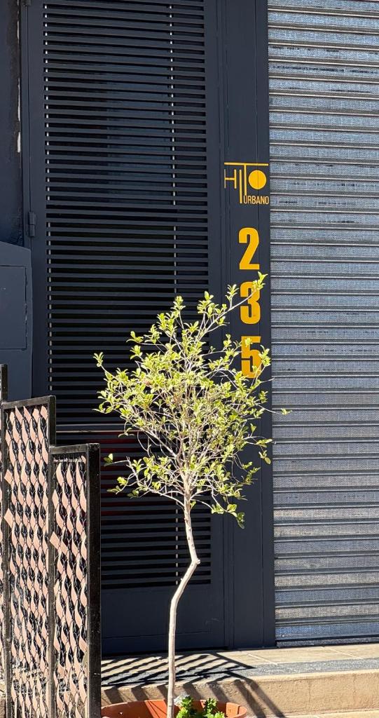 Hito Urbano photo 4