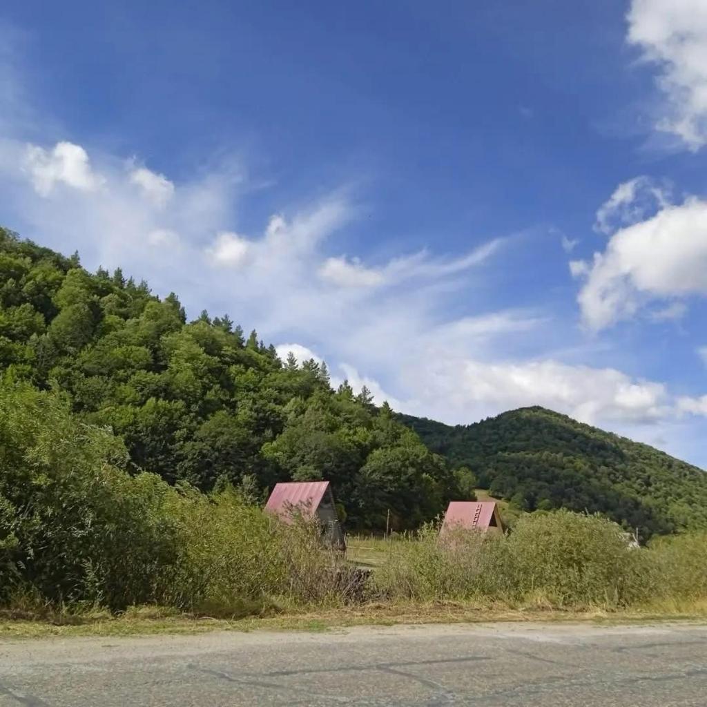 The Forest Cabin photo 3