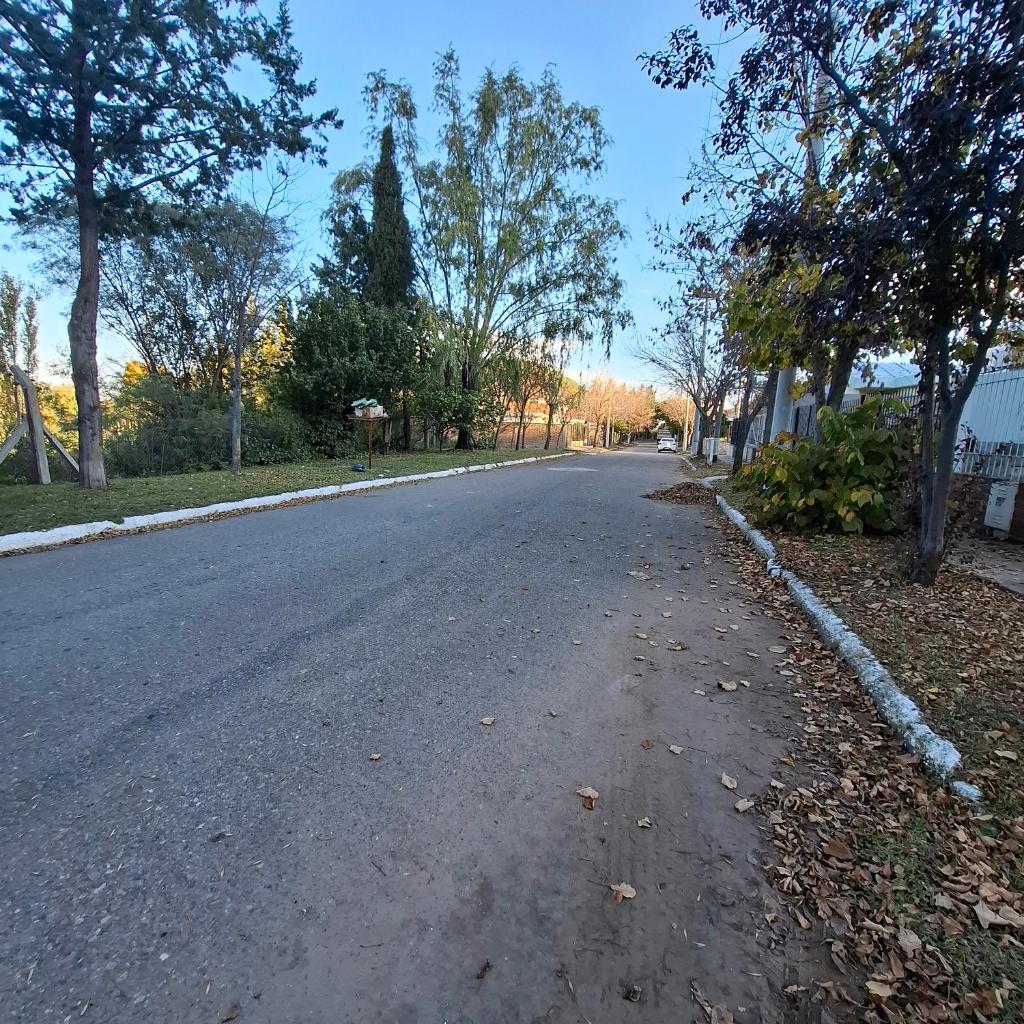 Bajo el Roble photo 4