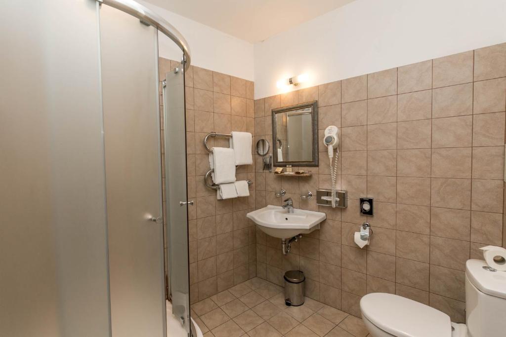 Двухместный (Стандартный двухместный номер с 1 кроватью), Hotel Justus