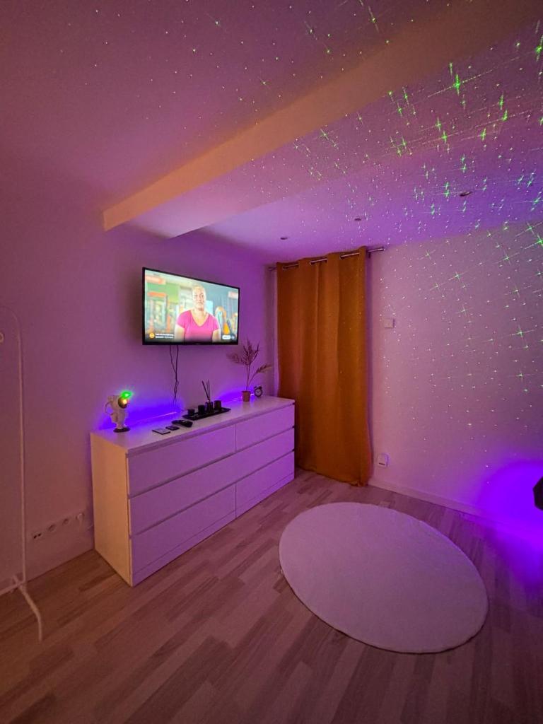 grand studio Huy centre photo 4