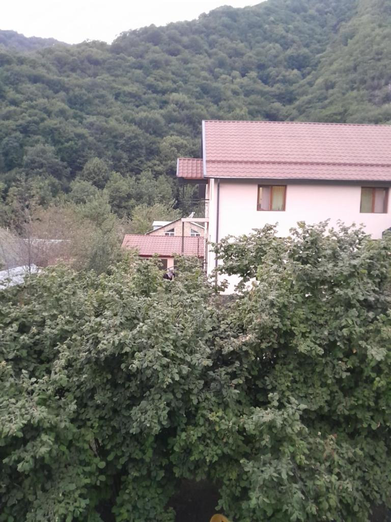 Qax Ağçayda EVLƏR