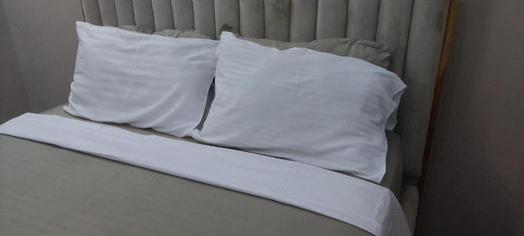 Serene BnB - Apt 04 Makongo after Mlimani City
