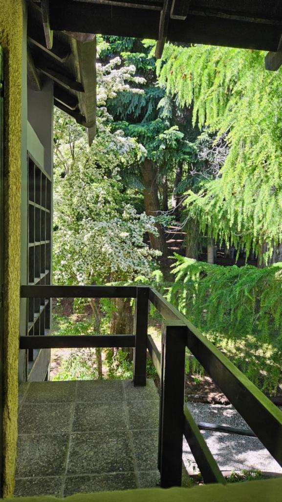 Aldea Andina Hotel & Spa photo 3