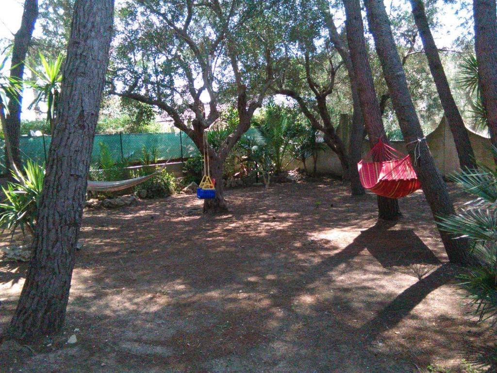 Casa Vacanze La Pineta photo 4