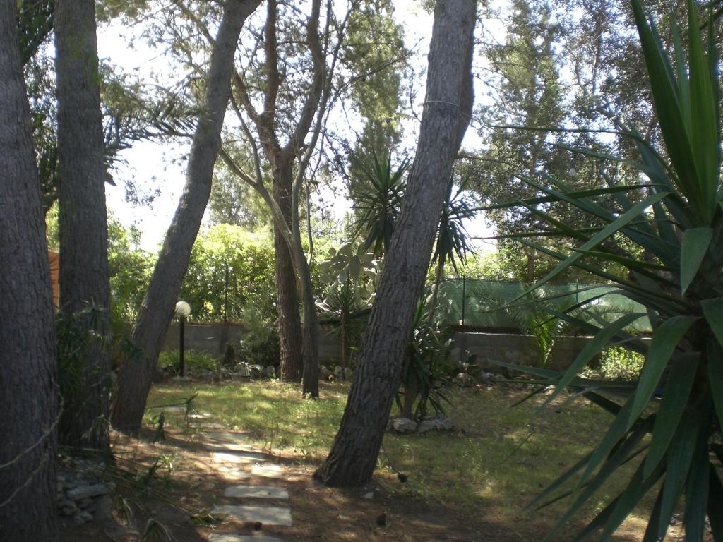 Casa Vacanze La Pineta photo 1