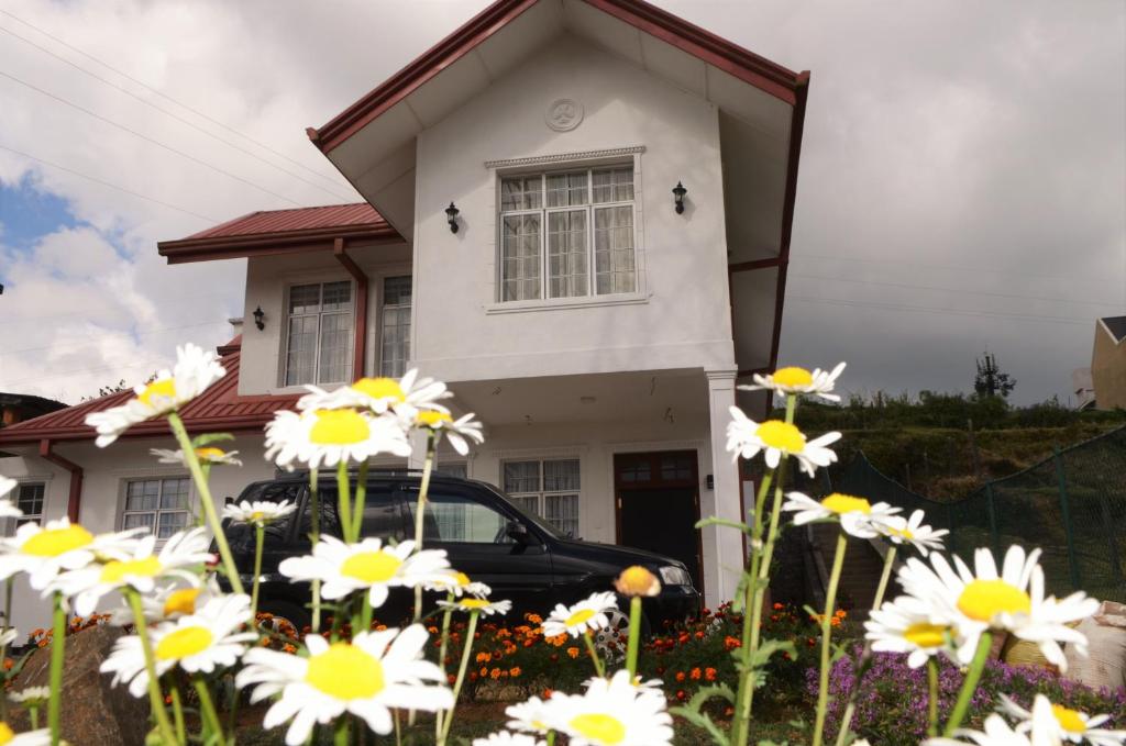 Thuring's Holiday Bungalow photo 1