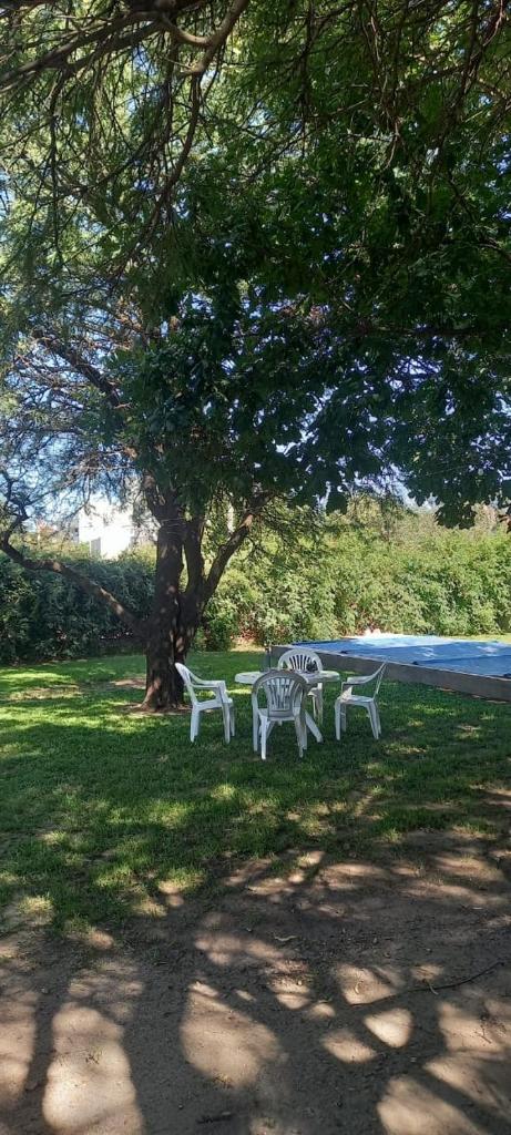 Casa Borga photo 2