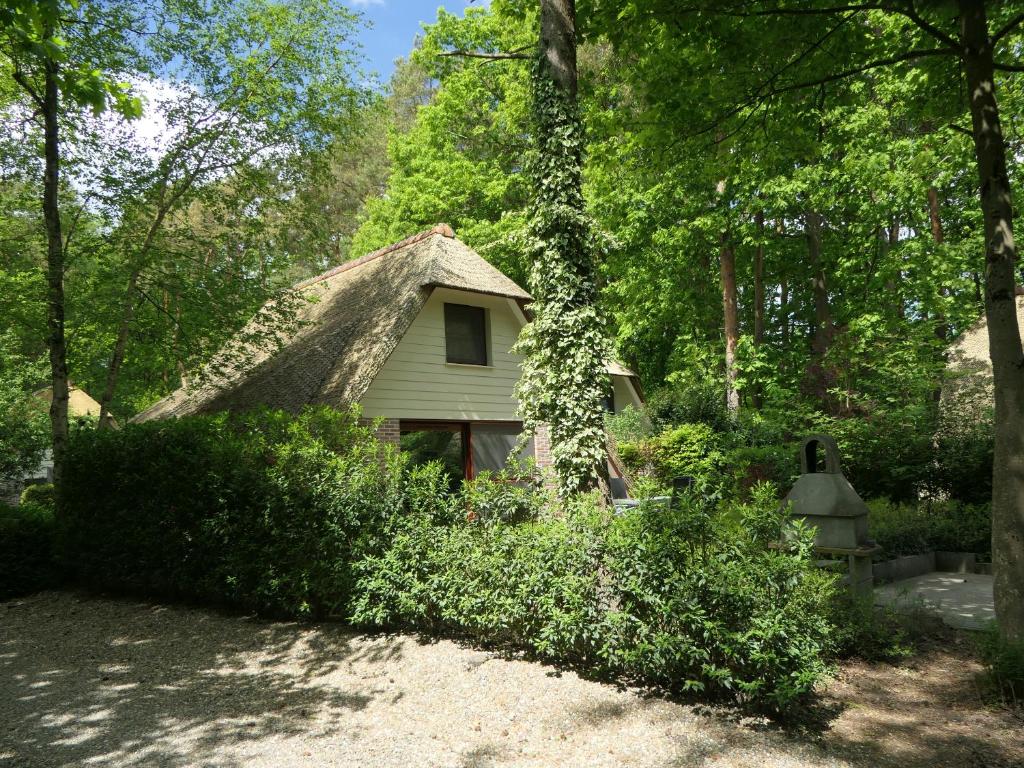 De Onthaasting photo 3