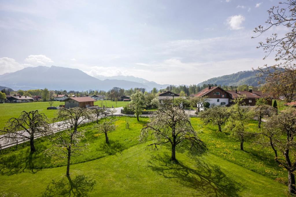 Alpenhof Landhotel Restaurant photo 1