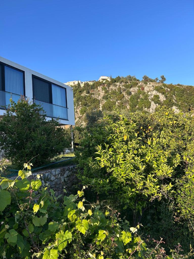 Escape Suites