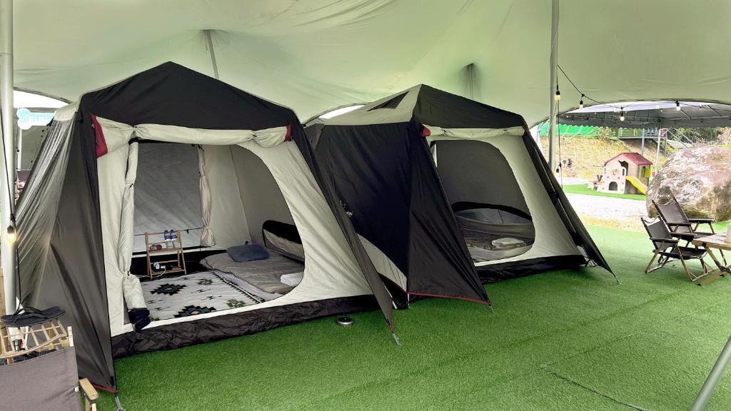 iGo Glamz 爱狗露营 Pet Friendly Glamping - Tap to explore photos