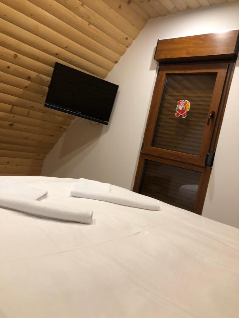 Vila Vlajić 2020 photo 2