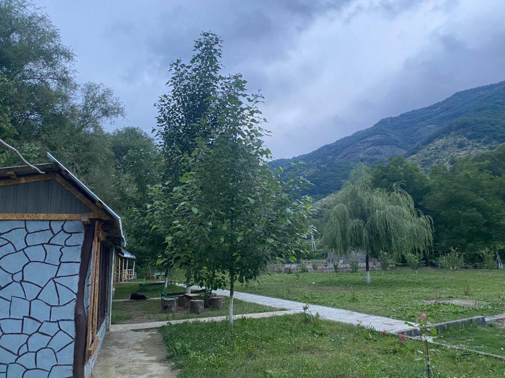 Basuta Guesthouse photo 1