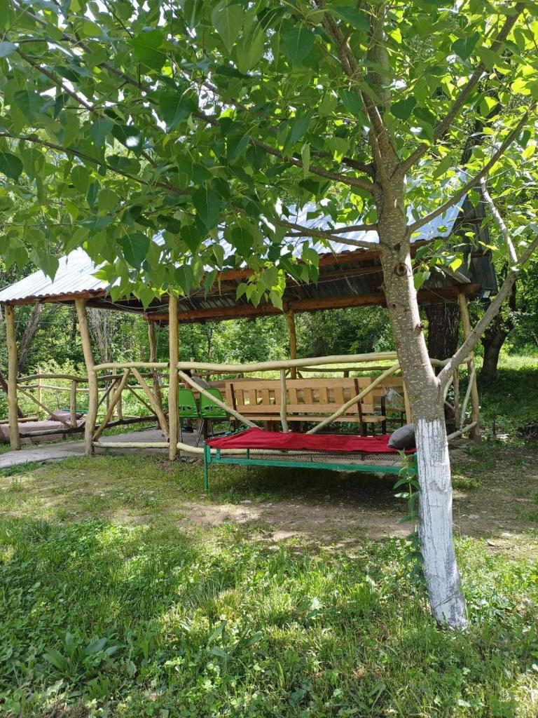 Basuta Guesthouse photo 2