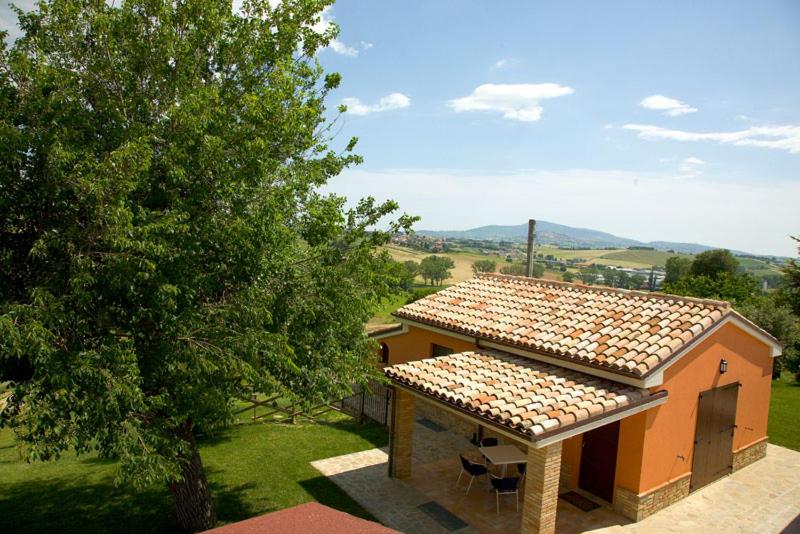 Azienda Agrituristica Le Bucoliche photo 1