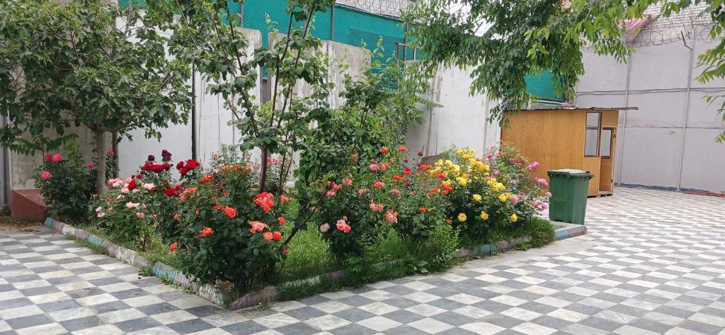 Kabul Royal Guest House photo 1