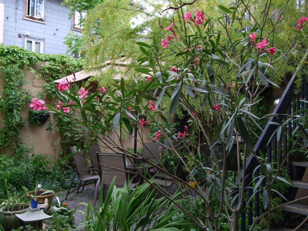Le 253 photo 4