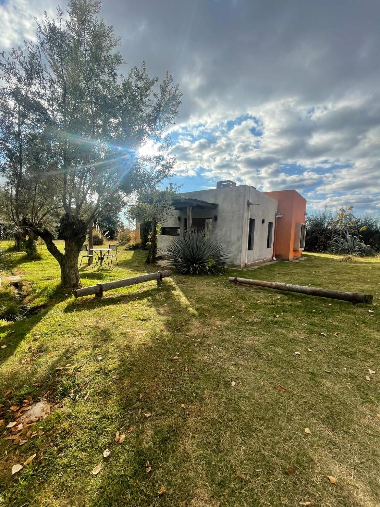 Comarca Andina photo 4
