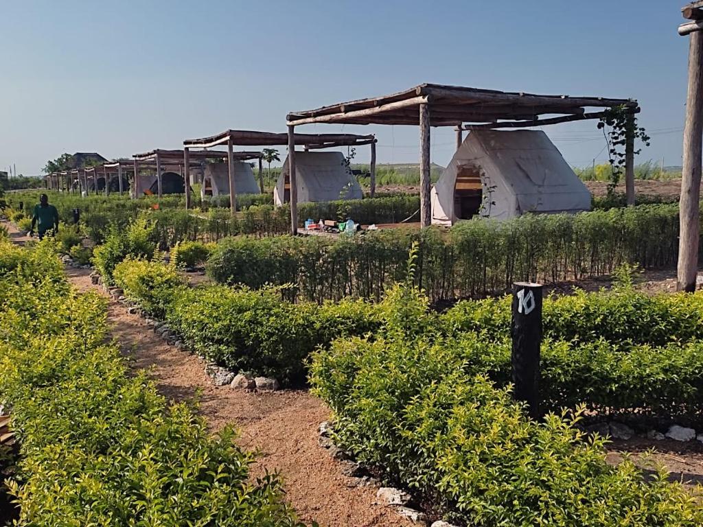 Fazenda Kizonga photo 2