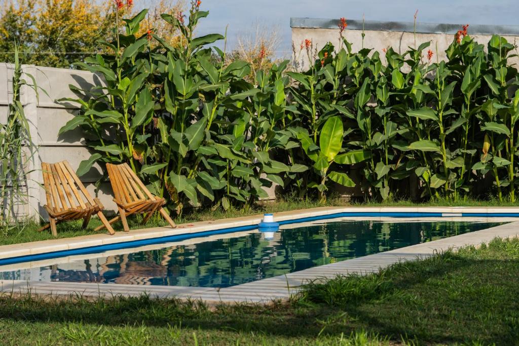 El Buho, Hospedaje Monte