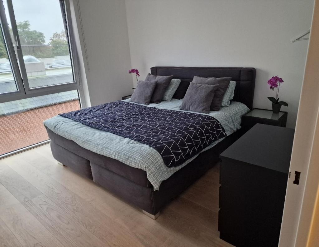 Gezellig appartement Donkvijver Beveren 2 personen photo 2