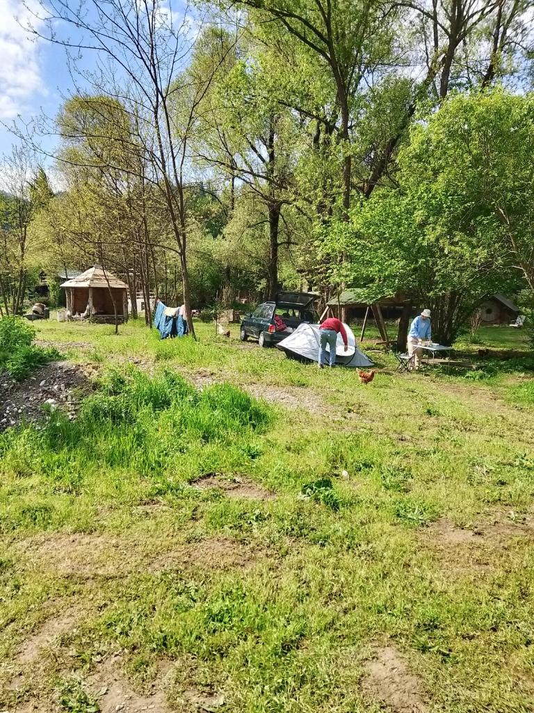 Camping Dobrunvik photo 2