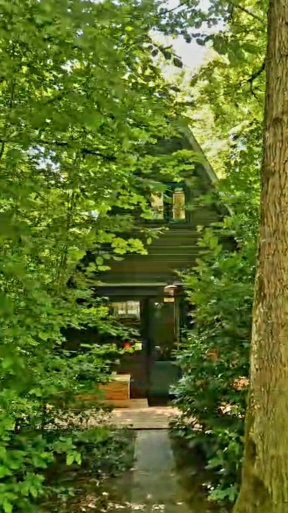 A Wood Lodge - zwembad - relax - natuur photo 2