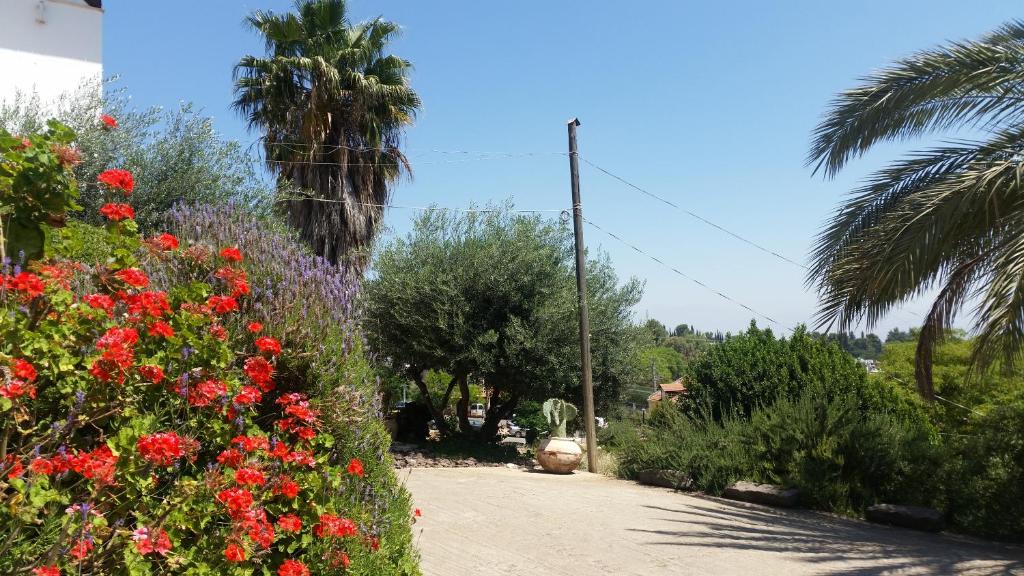 Shwartzimmer photo 2