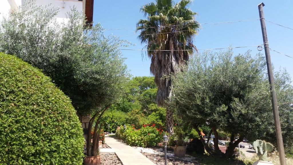 Shwartzimmer photo 3