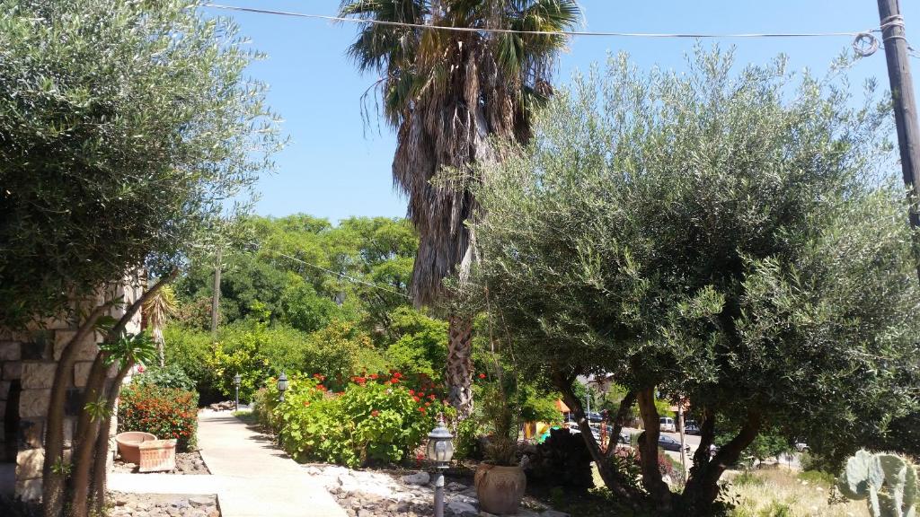 Shwartzimmer photo 4