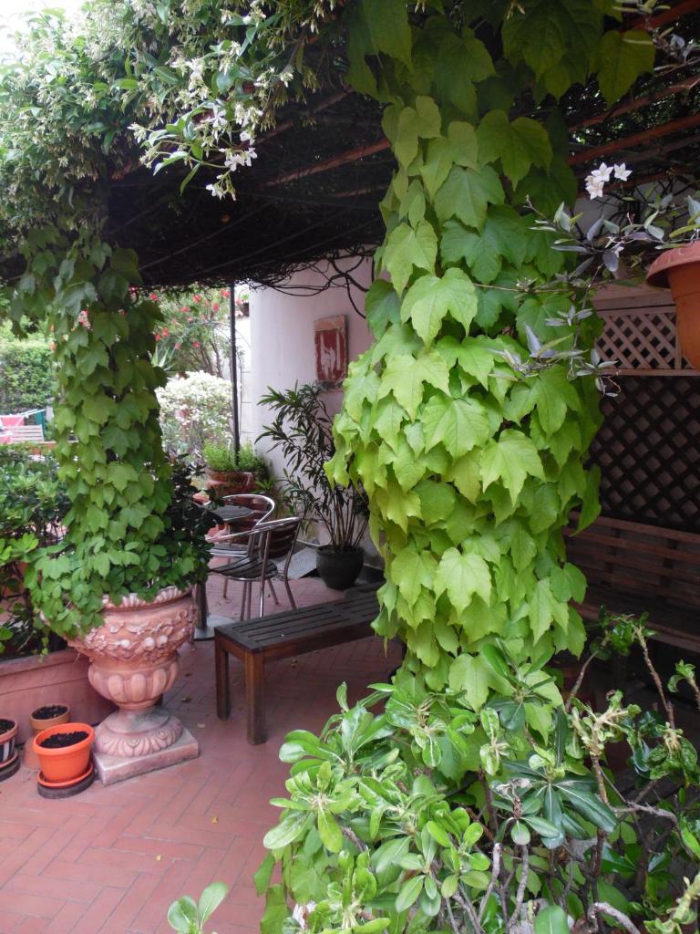 Agorà Hostel photo 2
